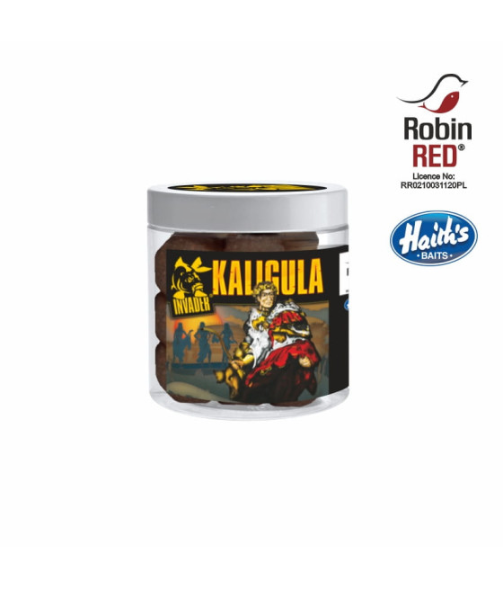 Kulki Haczykowe KALIGULA - Squid Tonące 14, 20mm Invader