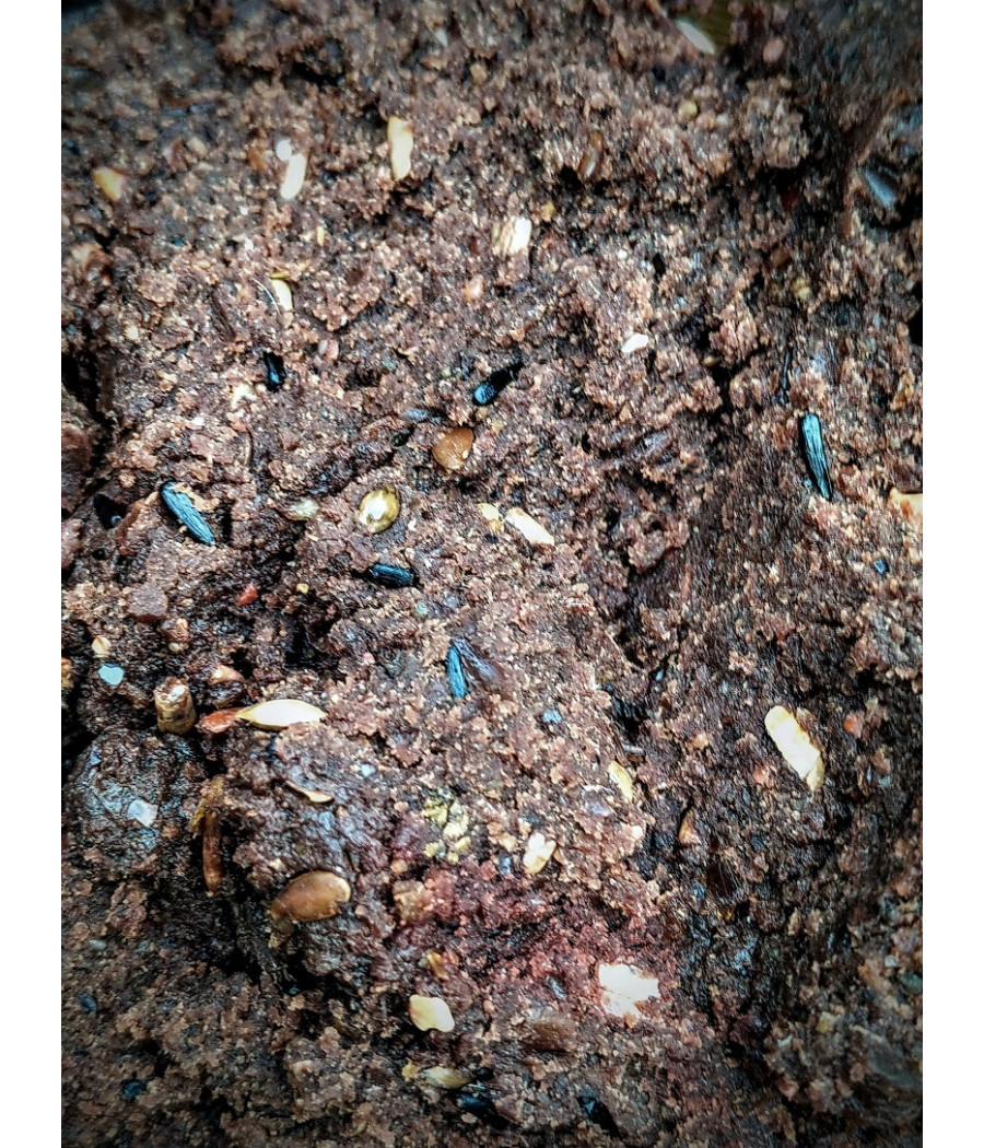 Kulki Zanętowe 20mm VICTORY - Monster Krab - 0,8 kg INVADER