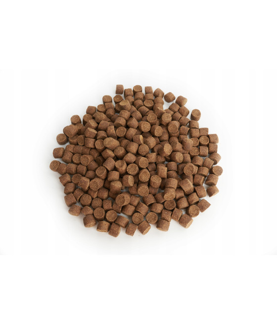 Pellet Zanętowy Aller Master 11mm