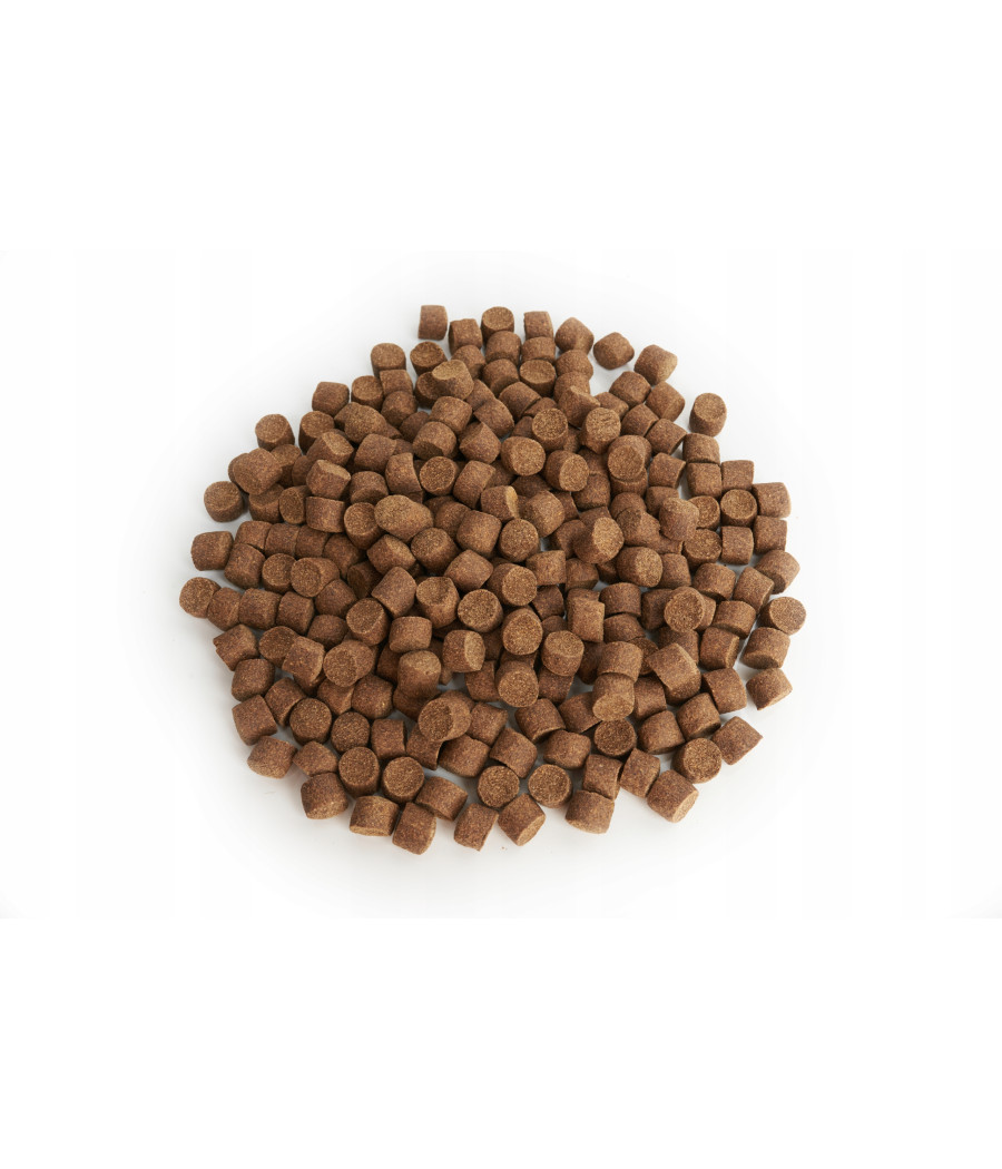 Pellet Zanętowy Aller Master 11mm