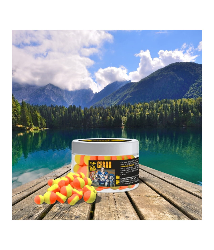 Kulki Karpiowe Pop Up Cesar Squid Porzeczka INVADER