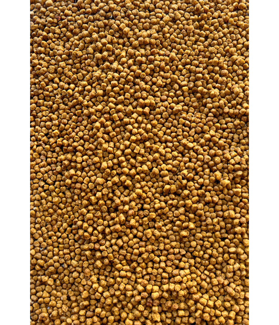 Micro Pellet 2mm Sweet Corn Słodka Kukurydza - Feeder Bait