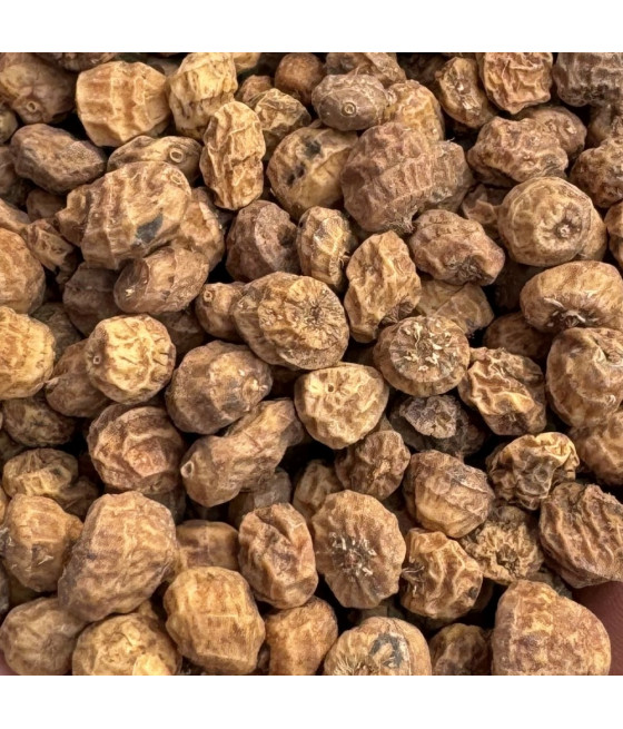 Orzech tygrysi naturalny surowy MIX 1kg Wratislava Baits 8-15mm