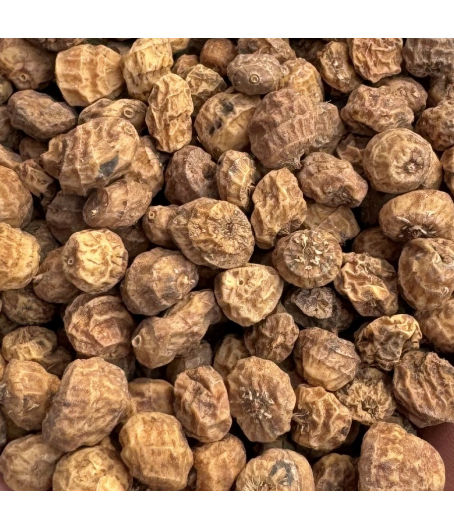 Orzech tygrysi naturalny surowy MIX 1kg Wratislava Baits 8-15mm