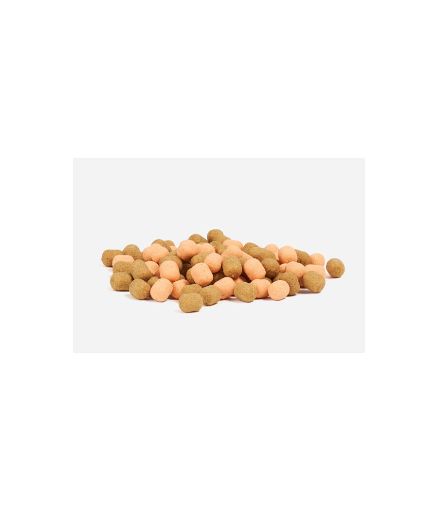 Kulki Wafters Classic Vanilla Small 6mm Wanilia UpFish