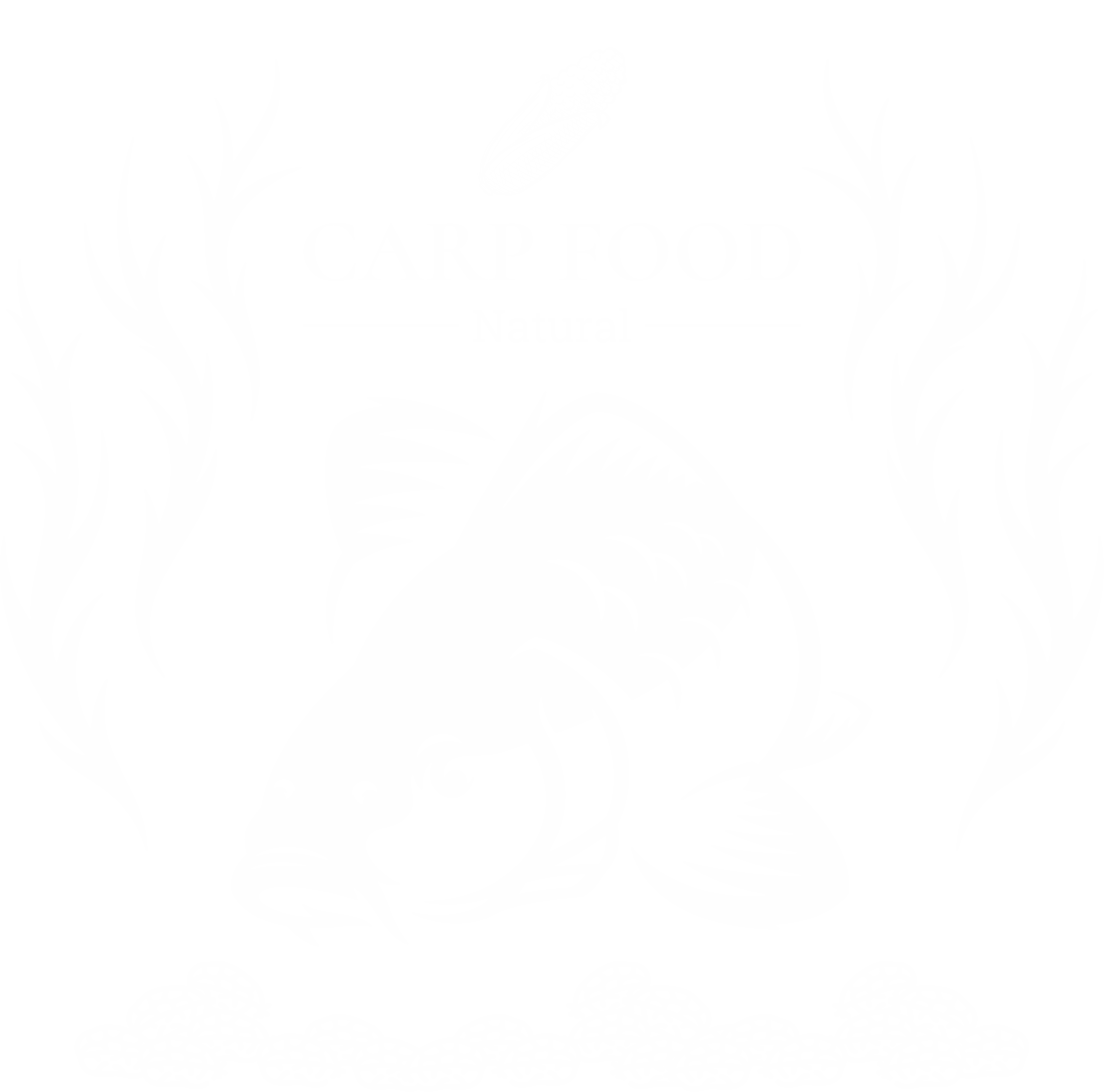 CARP FOOD