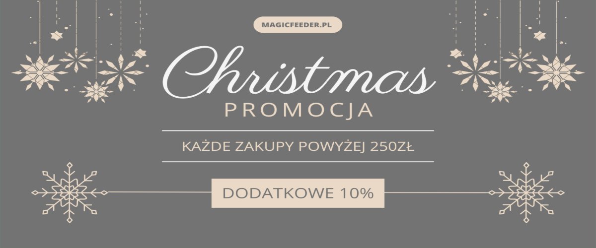 PROMOCJA